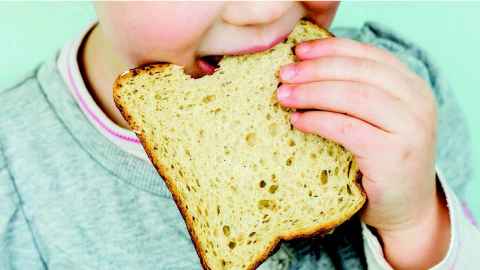 A young child eating a piece of dry bread.