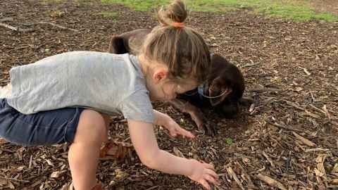 A child and a dog getting into bark on the ground.