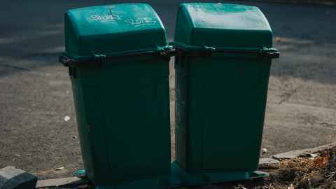 Two green rubbish bins.