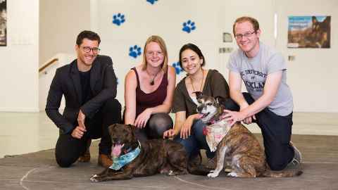 Researchers from left Associate Professor Alex Taylor, Rebecca Hassall, Amalia Bastos, Patrick Neilands