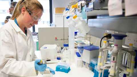Lauren Carlton working in the lab.