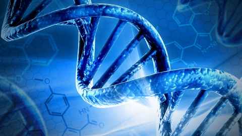 A stylised image of DNA.