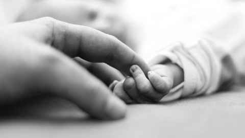 A adult holding a baby's hand.
