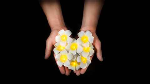 Flowers in a person's hands.