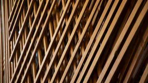 Wooden installation Learning from Trees.