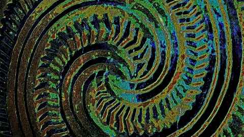 A green and black spiral koru.