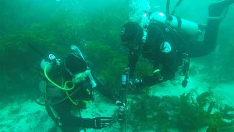 Two divers underwater with a device.