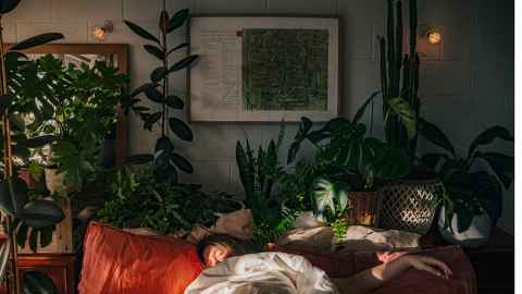 A woman asleep, with plants around the bed.
