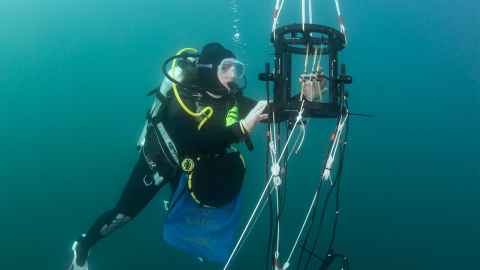 PhD student Louise Wilson using hydrophones and an accelerometer to record how the soundscape changes as a boat passes by on the surface. Photo: Paul Caiger