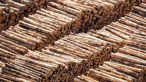 Piles of logs.