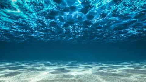 The sea floor.