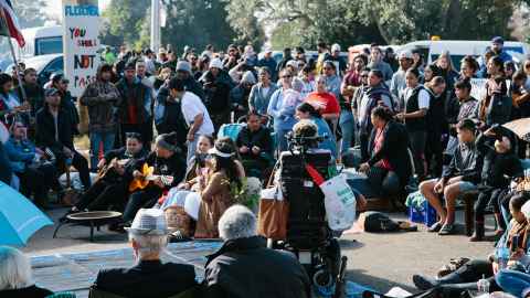 A crowd of people with flags and protest signs.