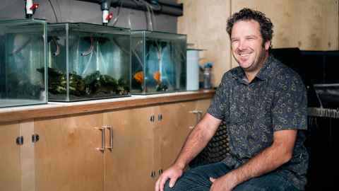 Dr Craig Radford, sitting beside fish tanks.