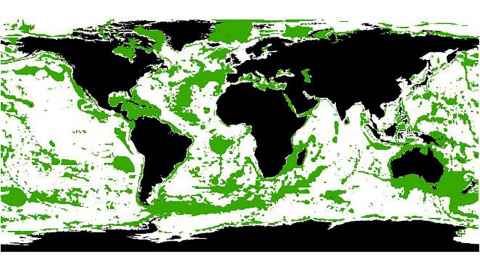 A map of the world with areas coloured green, including most of the Tasman Sea, most of the Caribbean and much of the Mediterranean.