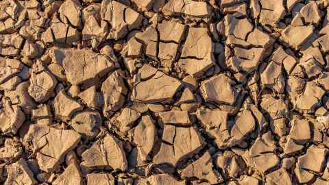 A close of of very dry, cracked earth.