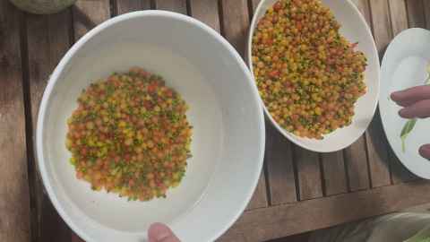 Totara berries