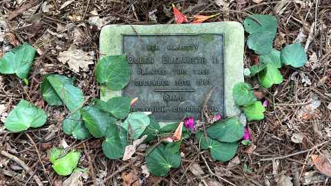 Plaque for tree planted by Queen Elizabeth II in 1953.