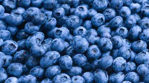 Blueberries