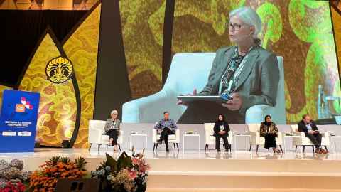 Four people seated on a large stage with a big screen behind them showing one of the people on stage, Professor Dawn Freshwater.