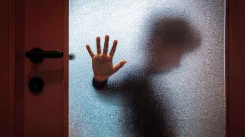 A child in silhouette, with one hand on a glass door.