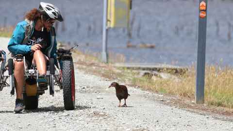 Natalie Gauld inspects and is inspected by a weka on the West Coast Wilderness Trail.