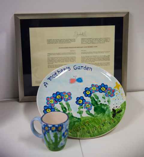 The plate decorated for Dame Margaret by Rett syndrome patient, Katelin. It has flowers and a molecule shape on it. 