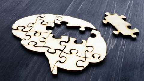 image of brain as jigsaw puzzle
