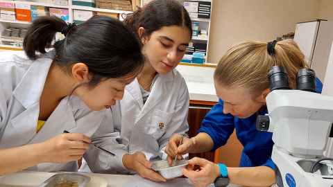 Three people in a lab.