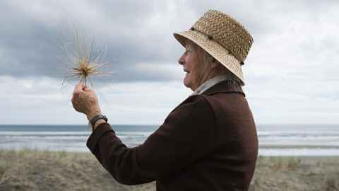 pensioner on beach