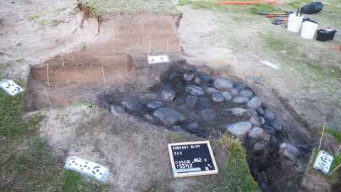 An excavation of an umu (above-ground oven) on Enderby.