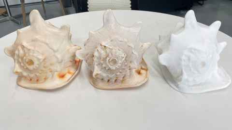Three different versions of the conch shell printed in different materials. 