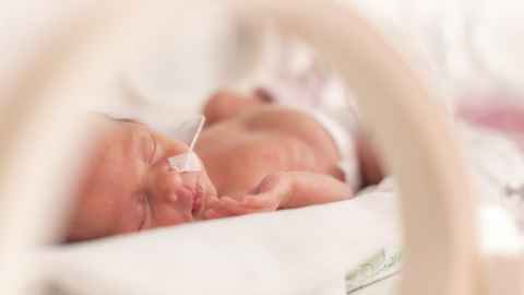 premature newborn baby in incubator