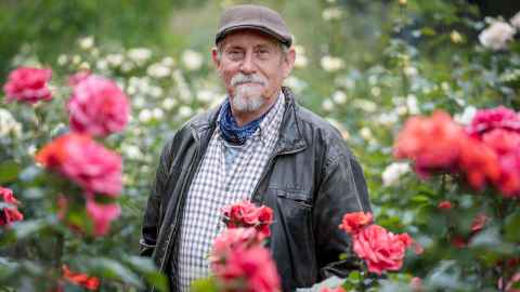 Head gardener Stanley Jones standing in a rose garden