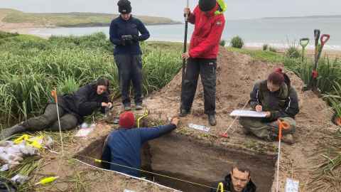 A team led by University of Auckland researchers in the field on Enderby in the Auckland Islands looking at remains of ancient Māori habitation April, 2023.