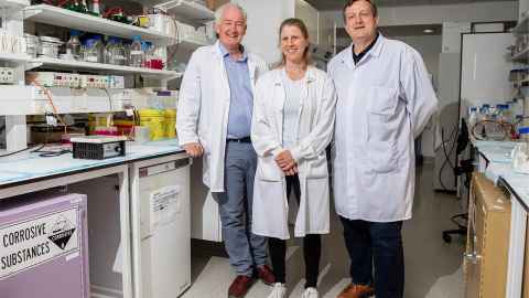 Clinic director Dr Jessie Jacobsen (centre), with colleagues, Professor Russell Snell and Klaus Lehnert.
