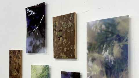 Audrey’s first-year photography project featured images printed on translucent paper.