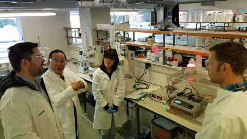 Four people in white coats, standing in a lab.