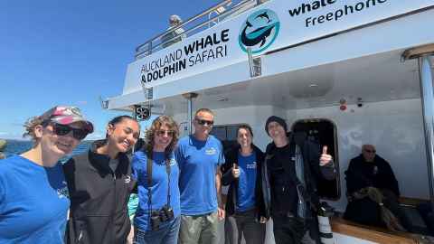 The Revive our Gulf team out on the Hauraki Gulf