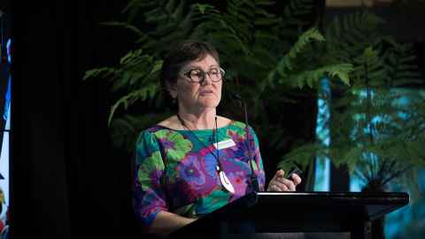 Professor Ngaire Kerse 