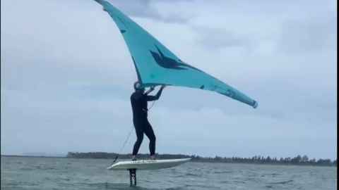 Peg rides on a board, on the sea, holding a triangular-shaped sail