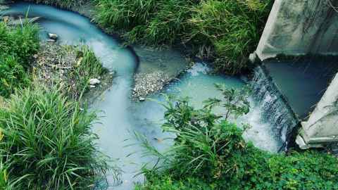 A panel discussion on the state of water in New Zealand will be held at the University of Auckland on 29 May. Photo: Unsplash.