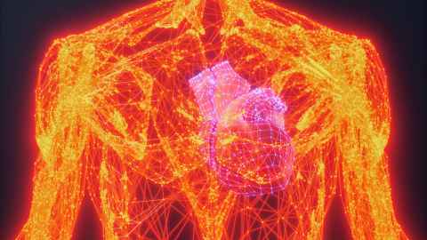 An exact digital twin will enable clinicians to know that their therapy or surgery will work.