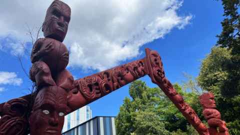 Savannah Brown says building legislation should recognise and include traditional Māori building practices.