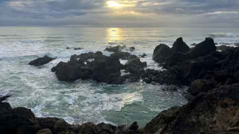 The scientists say New Zealand has a responsibility to demonstrate it can shift the downward spiral of oceanic degradation.