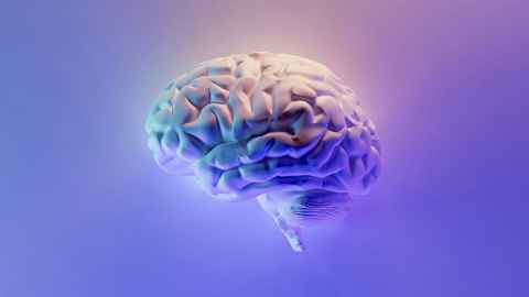 Researchers have found clues in the brain that could lead to diagnostic tests for Parkinson's disease and MSA.