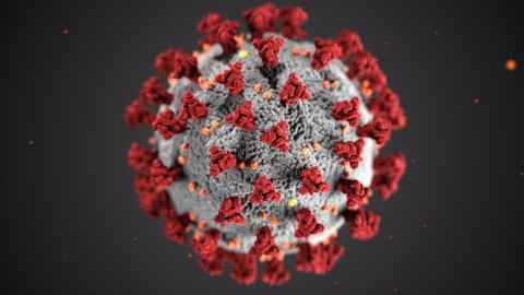 Decorative image of Covid-19 virus