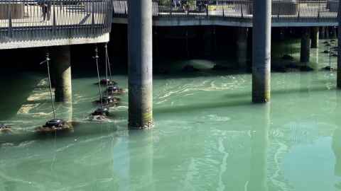 Sewage overflows from outdated wastewater systems pose a risk of pouring drug-resistant microbes into the sea.