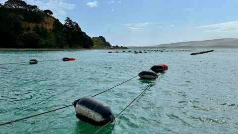 Aotea Marine Farms