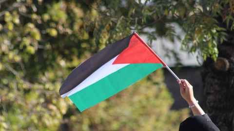 Arm of woman waving Palestinian flag 