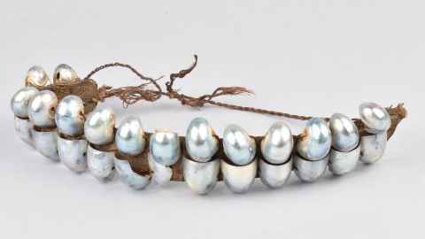 Head ornament (pale fuiono), of two rows of steel blue nautilus shells, strung on a narrow band covered with cotton cloth, and with a fibre tie at each end. © The Trustees of the British Museum. Shared under a Creative Commons Attribution-NonCommercial-ShareAlike 4.0 International (CC BY-NC-SA 4.0) licence.